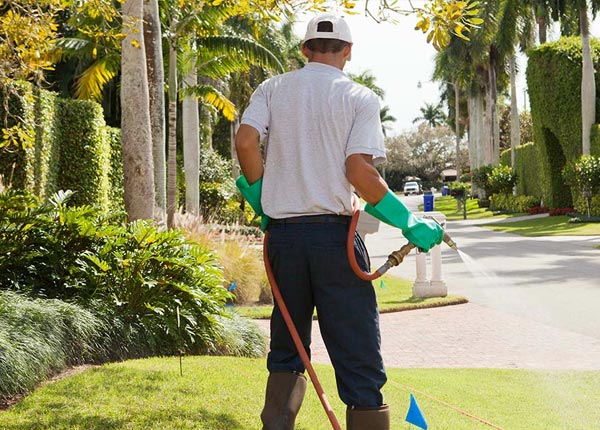 About Leadwood MO Pest Control